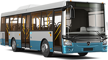 Городские и пригородные автобусы